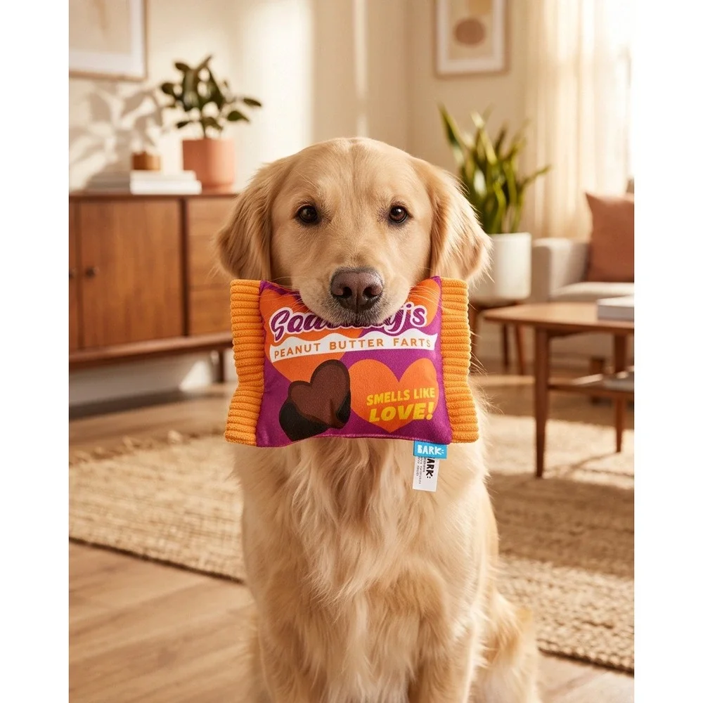 Bark Sneaky Squeaky Fart Hearts Squeaky's Peanut Butter Farts Dog Toy Large‎ NWT